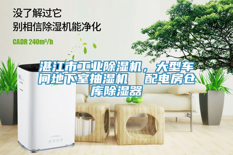 湛江市工業榴莲视频官网APP，大型車間地下室抽濕機  配電房倉庫除濕器