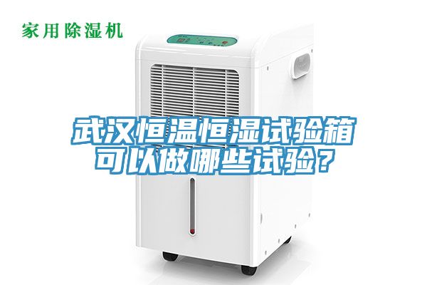 武漢恒溫恒濕試驗箱可以做哪些試驗？