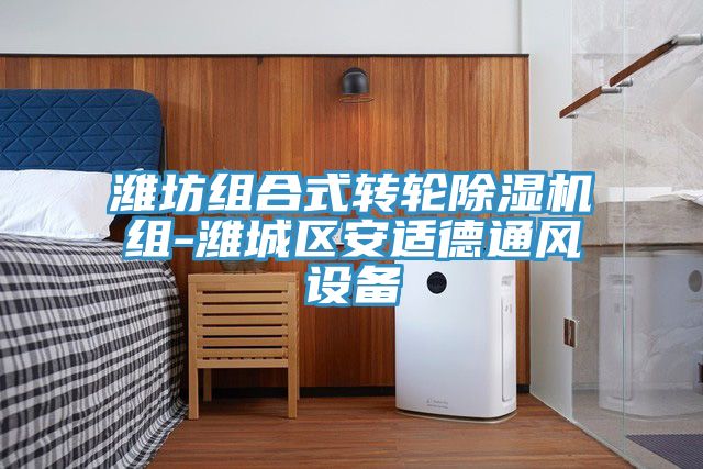濰坊組合式轉輪榴莲视频官网APP組-濰城區安適德通風設備