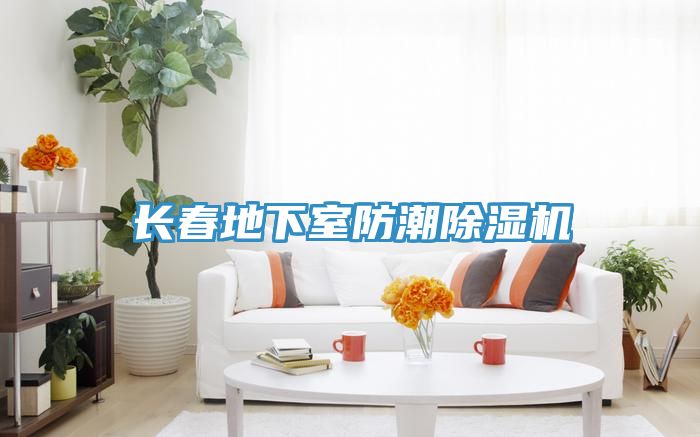 長春地下室防潮榴莲视频官网APP