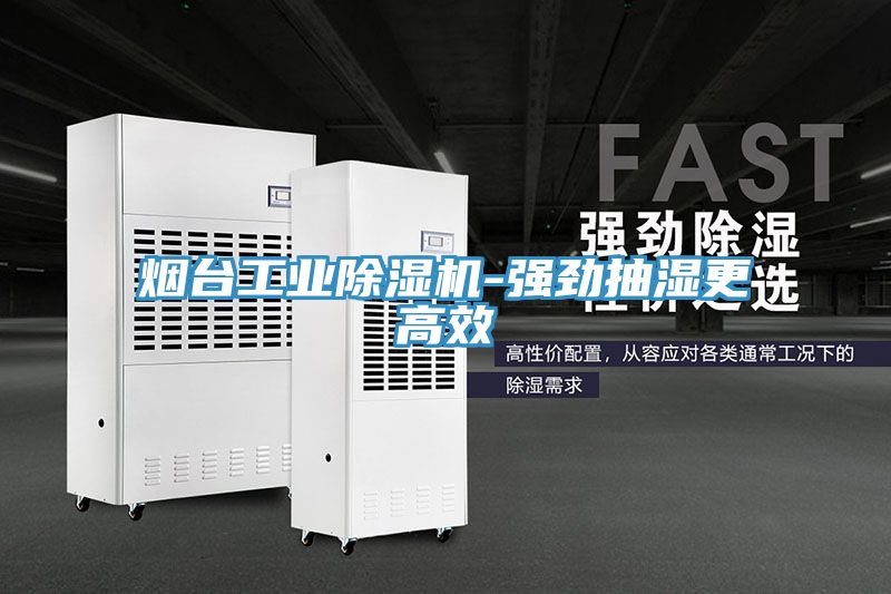 煙台工業榴莲视频官网APP-強勁抽濕更高效