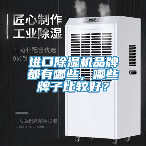進口榴莲视频官网APP品牌都有哪些，哪些牌子比較好？
