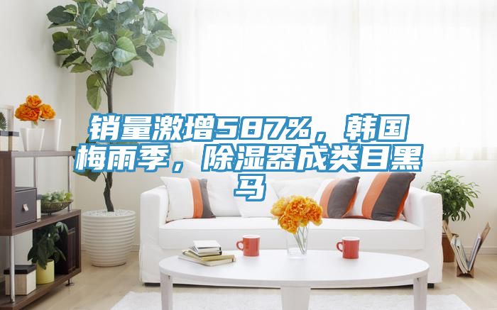 銷量激增587%，韓國梅雨季，除濕器成類目黑馬