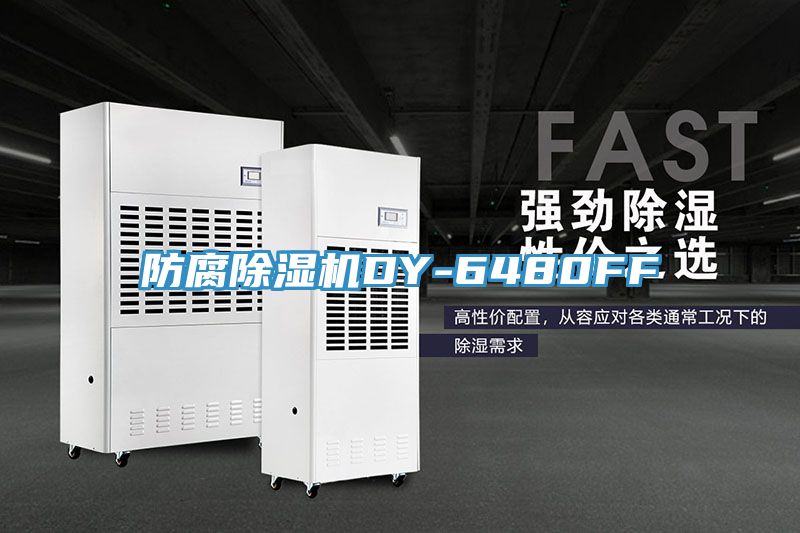 防腐榴莲视频官网APPDY-6480FF