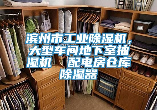 濱州市工業榴莲视频官网APP，大型車間地下室抽濕機  配電房倉庫除濕器