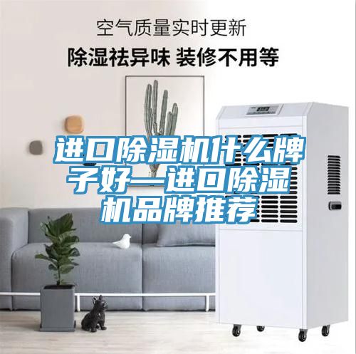 進口榴莲视频官网APP什麽牌子好—進口榴莲视频官网APP品牌推薦