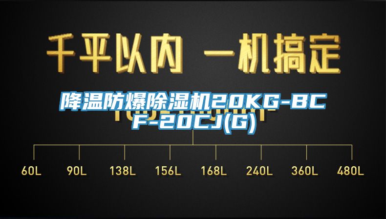 降溫防爆榴莲视频官网APP20KG-BCF-20CJ(G)