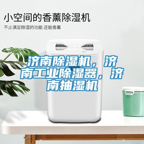濟南榴莲视频官网APP，濟南工業除濕器，濟南抽濕機