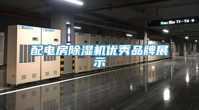 配電房榴莲视频官网APP優秀品牌展示