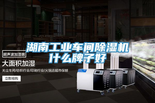 湖南工業車間榴莲视频官网APP什麽牌子好