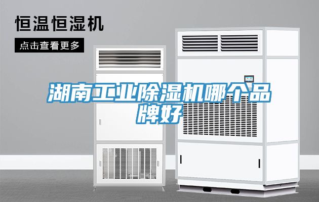 湖南工業榴莲视频官网APP哪個品牌好