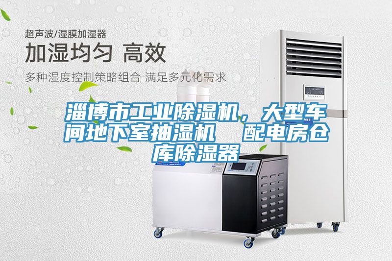 淄博市工業榴莲视频官网APP，大型車間地下室抽濕機  配電房倉庫除濕器