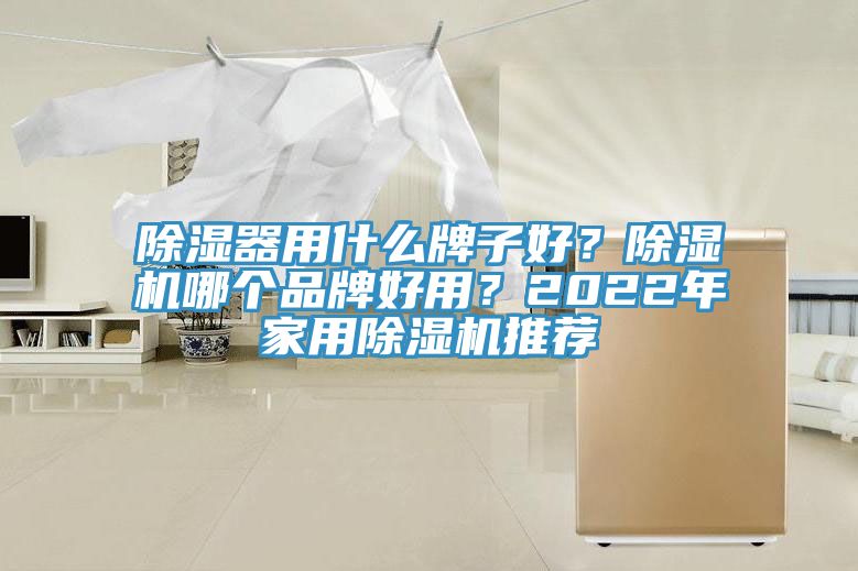 除濕器用什麽牌子好？榴莲视频官网APP哪個品牌好用？2022年家用榴莲视频官网APP推薦