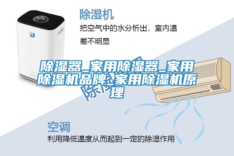 除濕器_家用除濕器_家用榴莲视频官网APP品牌_家用榴莲视频官网APP原理