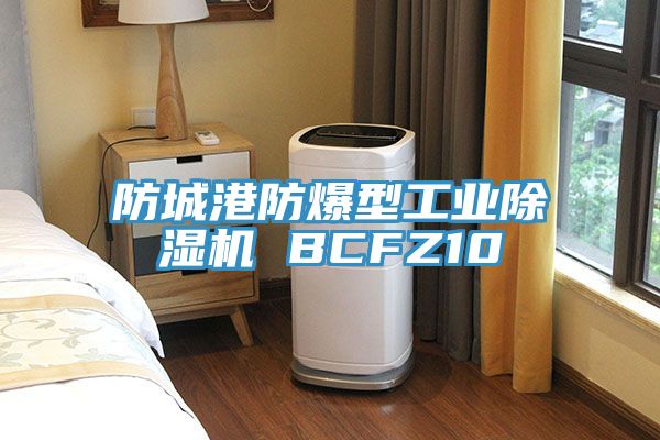 防城港防爆型工業榴莲视频官网APP BCFZ10