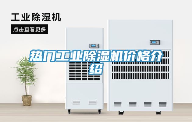 熱門工業榴莲视频官网APP價格介紹