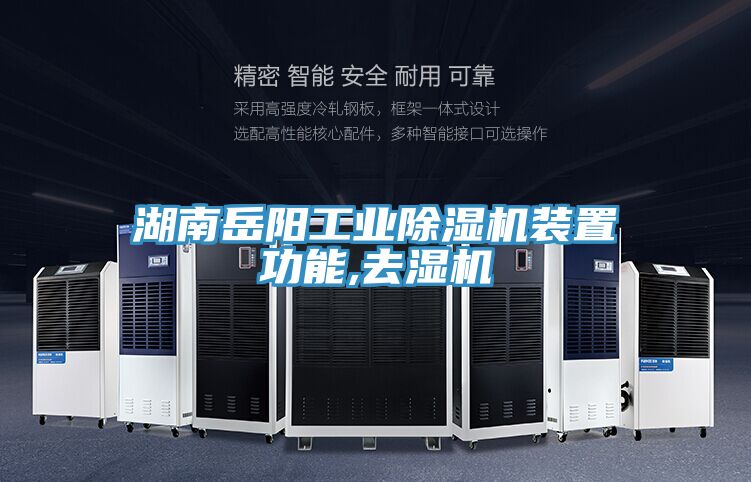 湖南嶽陽工業榴莲视频官网APP裝置功能,去濕機