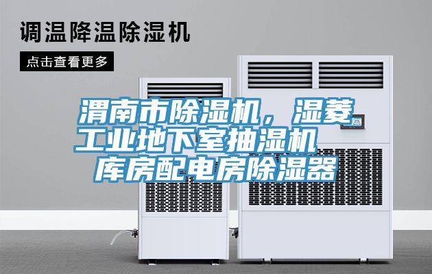 渭南市榴莲视频官网APP，濕菱工業地下室抽濕機  庫房配電房除濕器