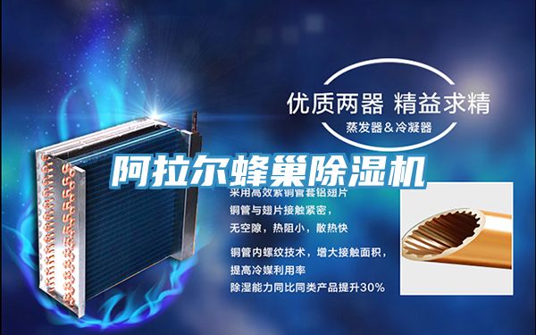 阿拉爾蜂巢榴莲视频官网APP