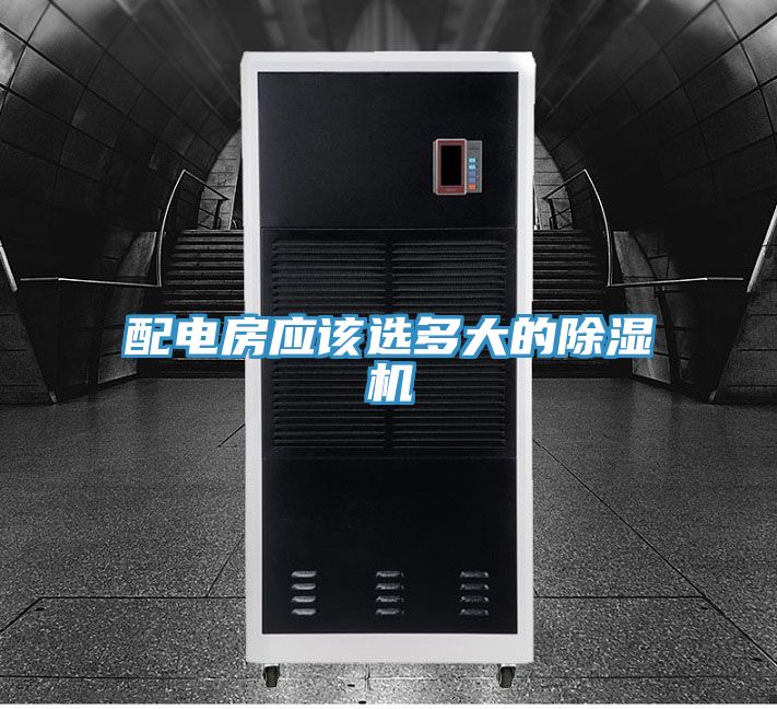 配電房應該選多大的榴莲视频官网APP