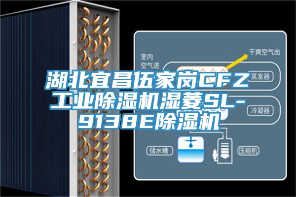 湖北宜昌伍家崗CFZ工業榴莲视频官网APP濕菱SL-9138E榴莲视频官网APP