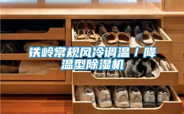鐵嶺常規風冷調溫／降溫型榴莲视频官网APP