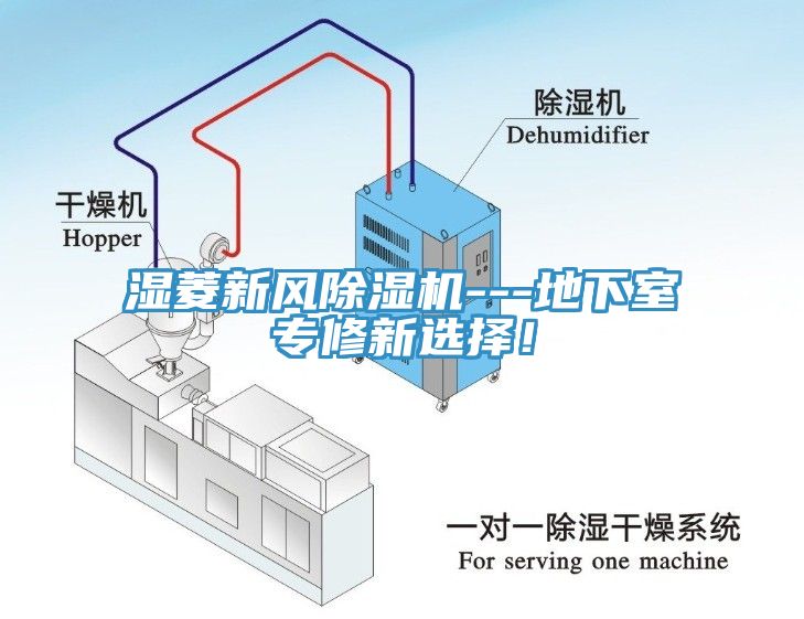 濕菱新風榴莲视频官网APP---地下室專修新選擇！