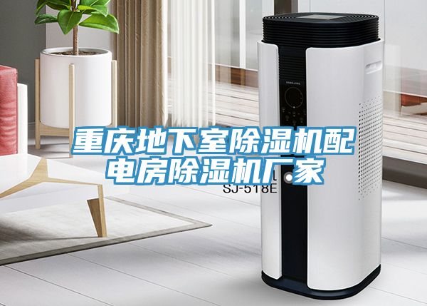 重慶地下室榴莲视频官网APP配電房榴莲视频官网APP廠家