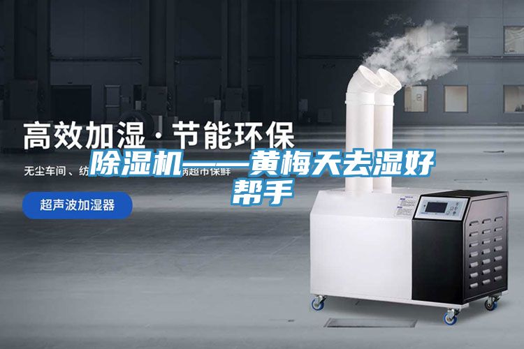 榴莲视频官网APP——黃梅天去濕好幫手