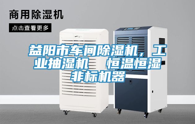 益陽市車間榴莲视频官网APP，工業抽濕機  恒溫恒濕非標機器