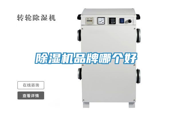 榴莲视频官网APP品牌哪個好