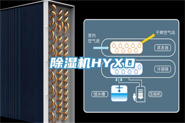 榴莲视频官网APPHYXD