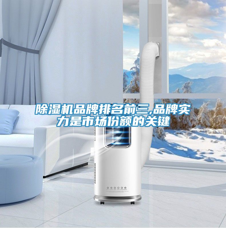 榴莲视频官网APP品牌排名前三,品牌實力是市場份額的關鍵