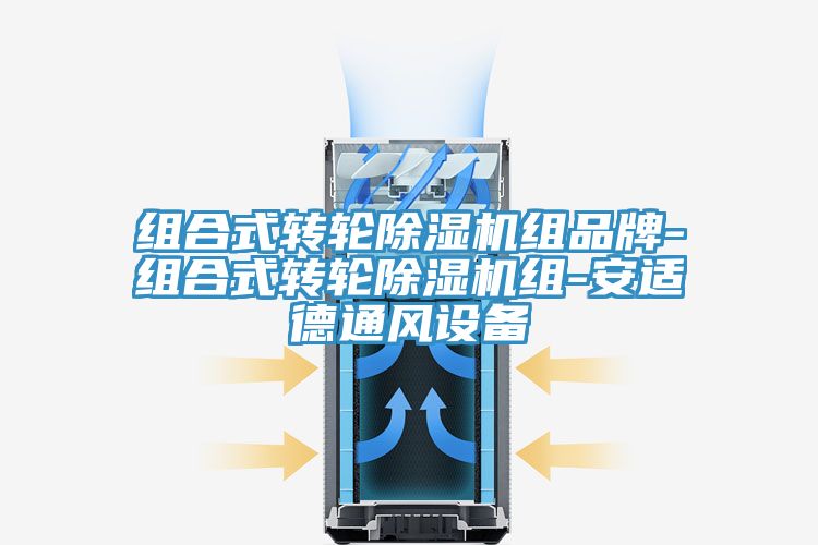 組合式轉輪榴莲视频官网APP組品牌-組合式轉輪榴莲视频官网APP組-安適德通風設備