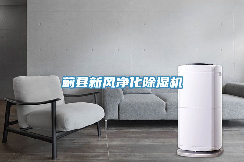 薊縣新風淨化榴莲视频官网APP