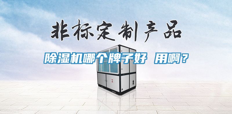 榴莲视频官网APP哪個牌子好 用啊？