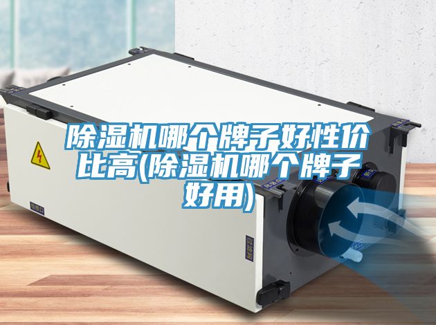 榴莲视频官网APP哪個牌子好性價比高(榴莲视频官网APP哪個牌子好用)