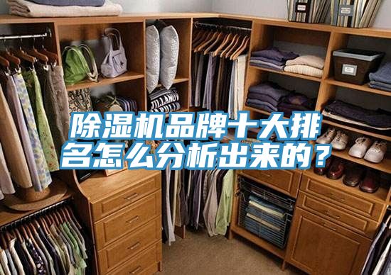 榴莲视频官网APP品牌十大排名怎麽分析出來的？