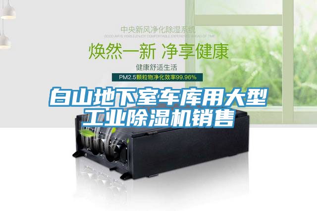 白山地下室車庫用大型工業榴莲视频官网APP銷售