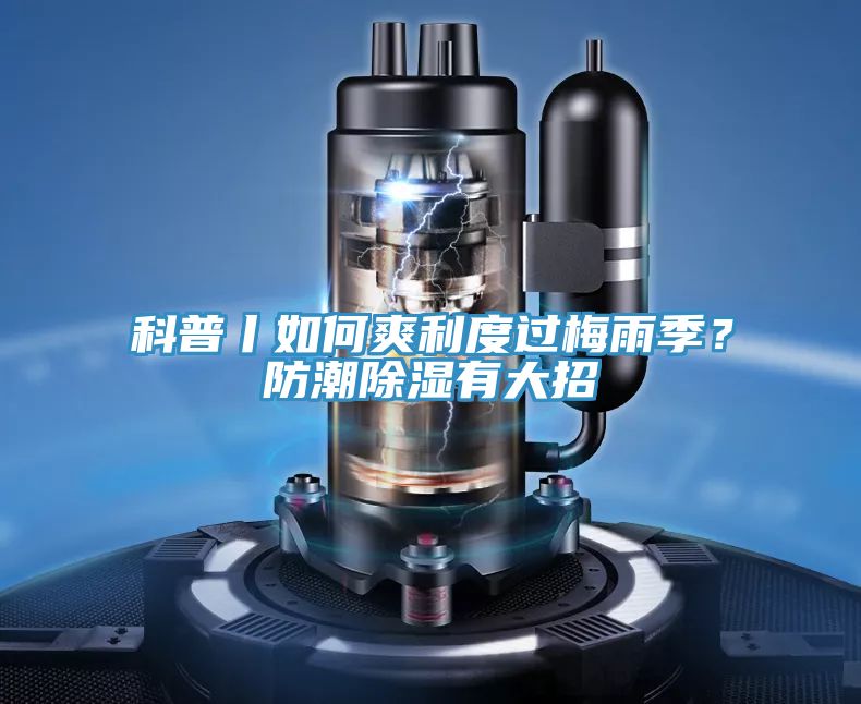 科普丨如何爽利度過梅雨季？防潮除濕有大招