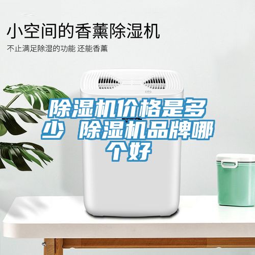 榴莲视频官网APP價格是多少 榴莲视频官网APP品牌哪個好