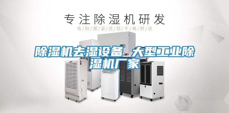 榴莲视频官网APP去濕設備 大型工業榴莲视频官网APP廠家