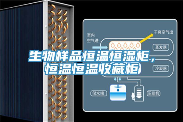 生物樣品恒溫恒濕櫃，恒溫恒溫收藏櫃