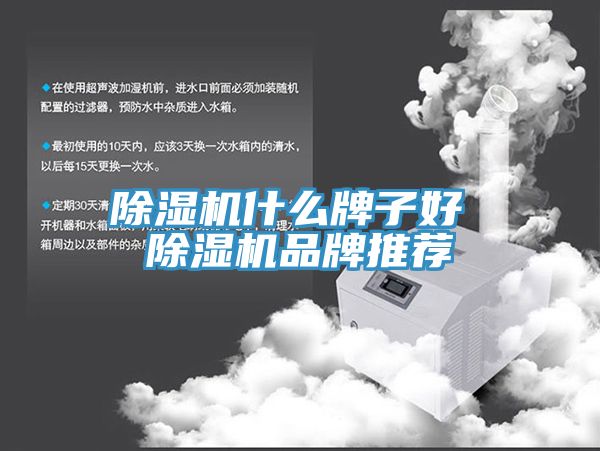 榴莲视频官网APP什麽牌子好 榴莲视频官网APP品牌推薦