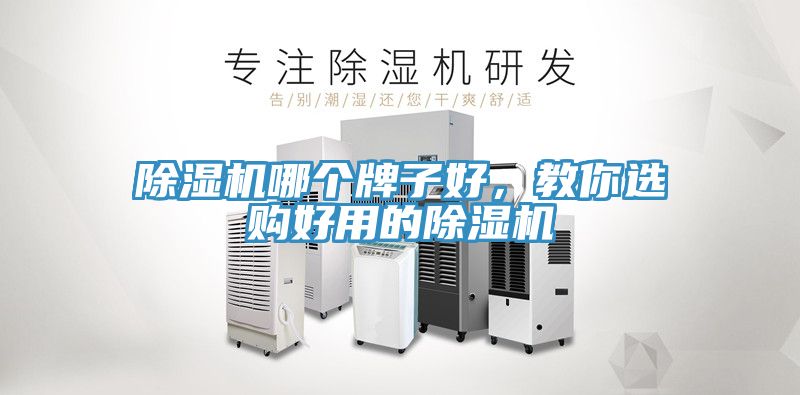 榴莲视频官网APP哪個牌子好，教你選購好用的榴莲视频官网APP