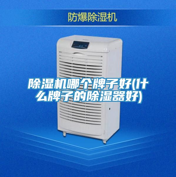 榴莲视频官网APP哪個牌子好(什麽牌子的除濕器好)