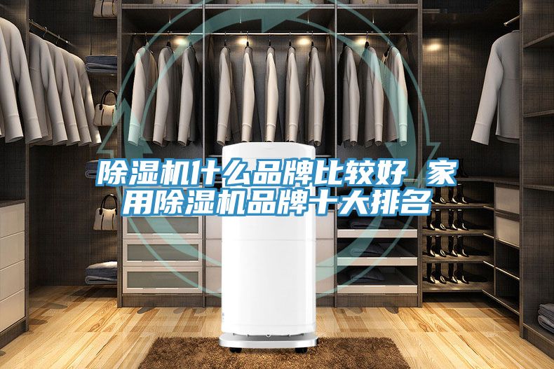 榴莲视频官网APP什麽品牌比較好 家用榴莲视频官网APP品牌十大排名