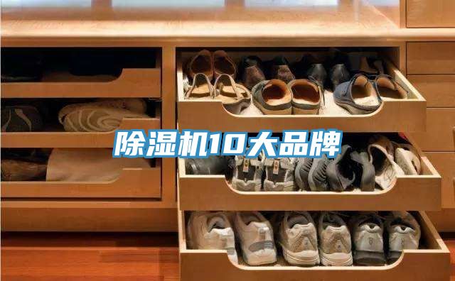 榴莲视频官网APP10大品牌