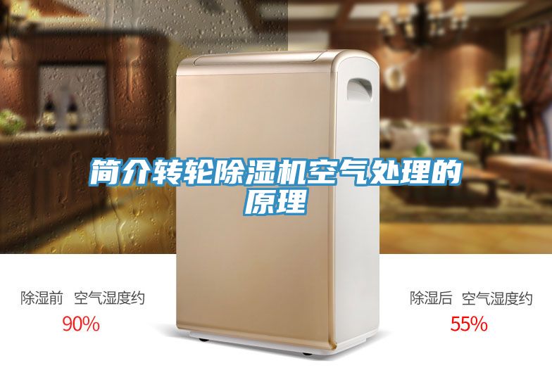 簡介轉輪榴莲视频官网APP空氣處理的原理