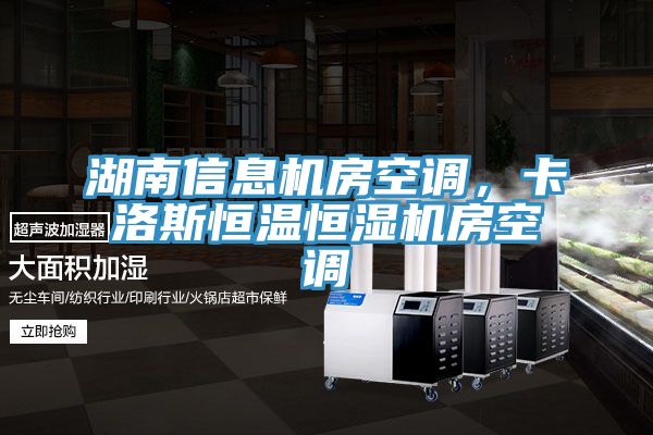 湖南信息機房空調，卡洛斯恒溫恒濕機房空調